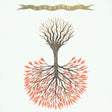 Lungfish - Love is love (CD) - Velvet Music