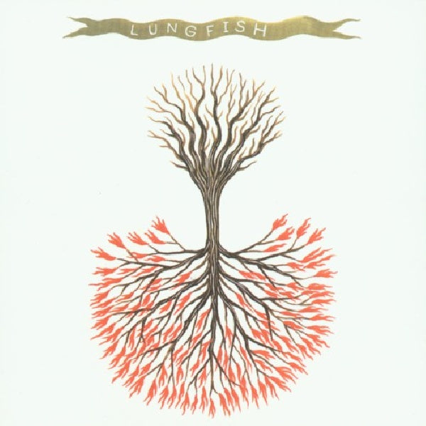 Lungfish - Love is love (CD) - Velvet Music