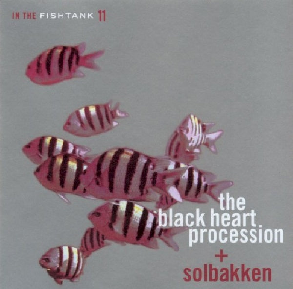 Black Heart Procession - In the fishtank (CD) - Velvet Music