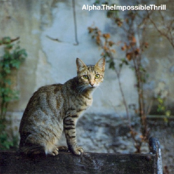 Alpha - Impossible thrill (CD) - Velvet Music