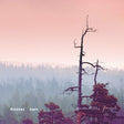 Klabbes Bank - Protect the forest (CD) - Velvet Music
