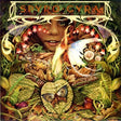 Spyro Gyra - Morning dance (CD) - Velvet Music