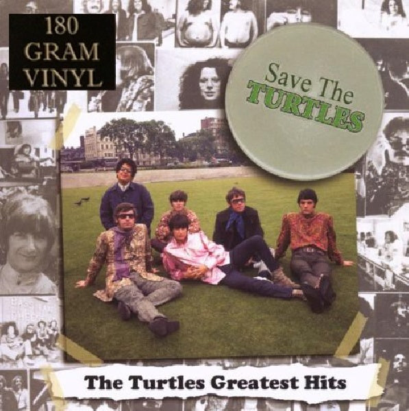 Turtles - Save the turtles (33T)