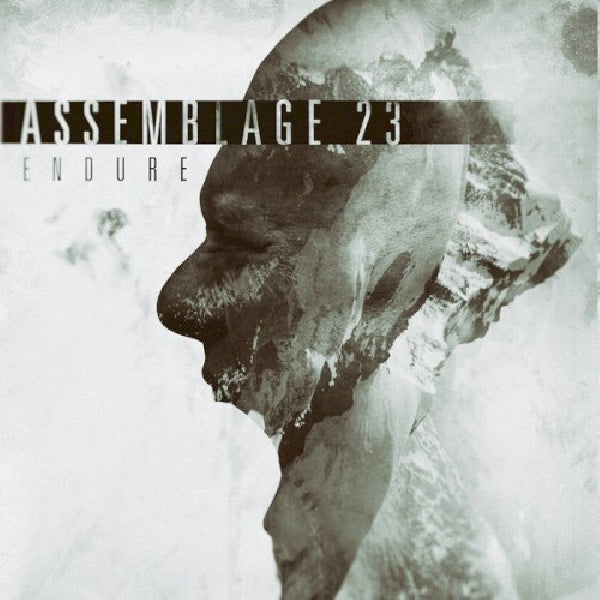 Assemblage 23 - Endure (LP) - Velvet Music