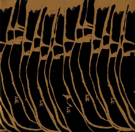 Charalambides - Joy shapes (CD) - Velvet Music