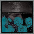 Jessica Bailiff - At the down-turned jagged rim of the sky (CD) - Velvet Music