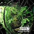 Electric Swan - Swirl in gravity (CD) - Velvet Music