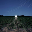 Beacon - Escapements (CD) - Velvet Music