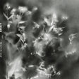 Jacaczek - Kwiaty (CD) - Velvet Music