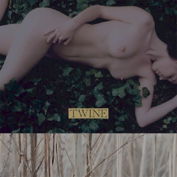 Twine - Twine (CD) - Velvet Music