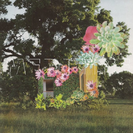 Medicine - Home everywhere (CD) - Velvet Music