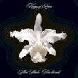 Kings Of Leon - A-ha shake heartbreak (CD)