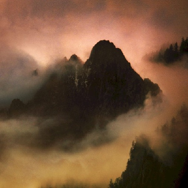 Dead To A Dying World - Elegy (CD)