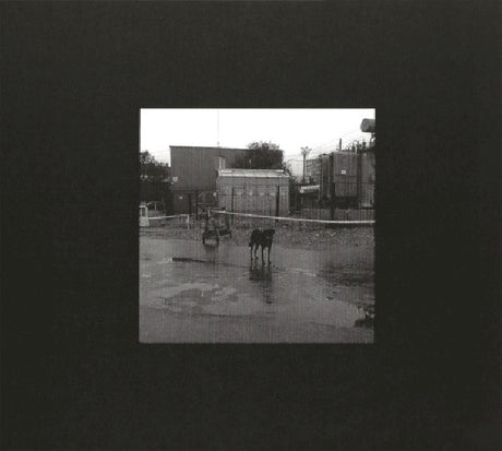 Nivhek - After it's own death (CD) - Velvet Music