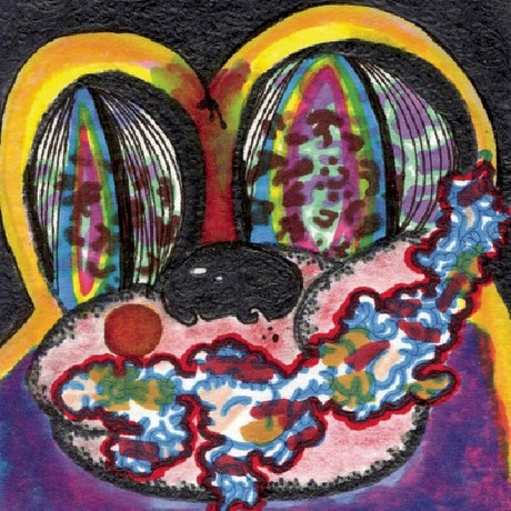 Cage The Elephant - Thank you, happy birthday (LP)