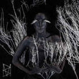 Bestial Mouths - Heartless (CD) - Velvet Music