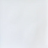 These New Puritans - Hidden (LP)