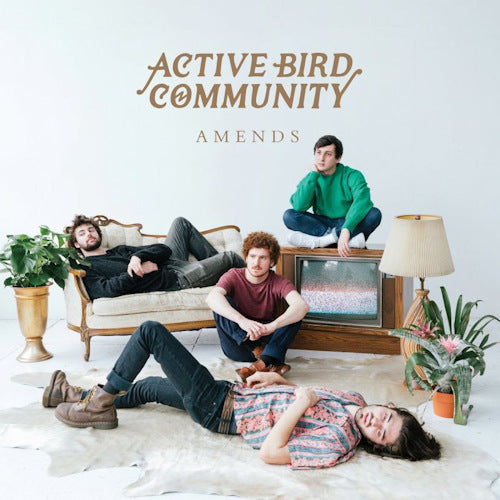 Active Bird Community - Amends (LP) - Velvet Music