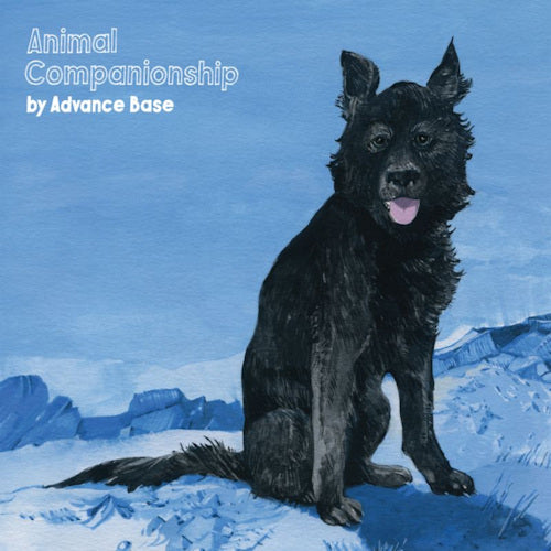 Advance Base - Animal companionship (CD) - Velvet Music