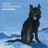 Advance Base - Animal companionship (CD) - Velvet Music