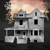 Steve Albini & Alison Chesley & Tim Midyett - Music from the film girl on the third floor (LP)