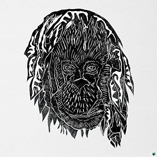Alpha Steppa - Raise the ark (CD) - Velvet Music