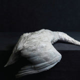 Amenra - Mass vi (CD) - Velvet Music
