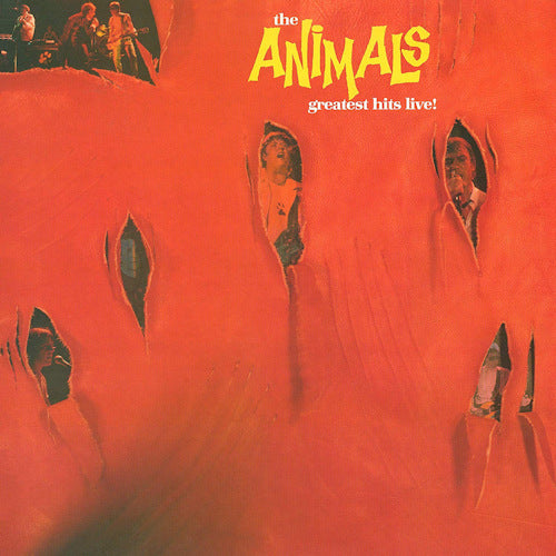 the Animals - Greatest hits (LP) - Velvet Music