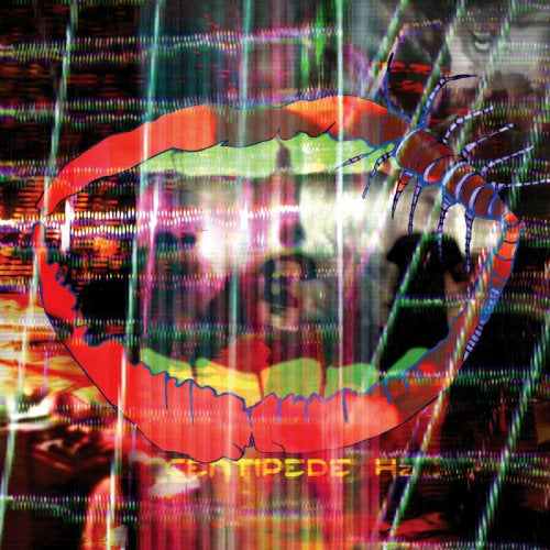 Animal Collective - Centipede hz (CD) - Velvet Music