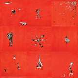 Animal Collective - Hollinndagain (LP) - Velvet Music