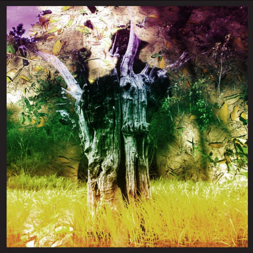 Animal Collective - Meeting of the waters (12-inch maxi-single) - Velvet Music