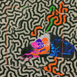 Animal Collective - Tangerine reef (LP) - Velvet Music