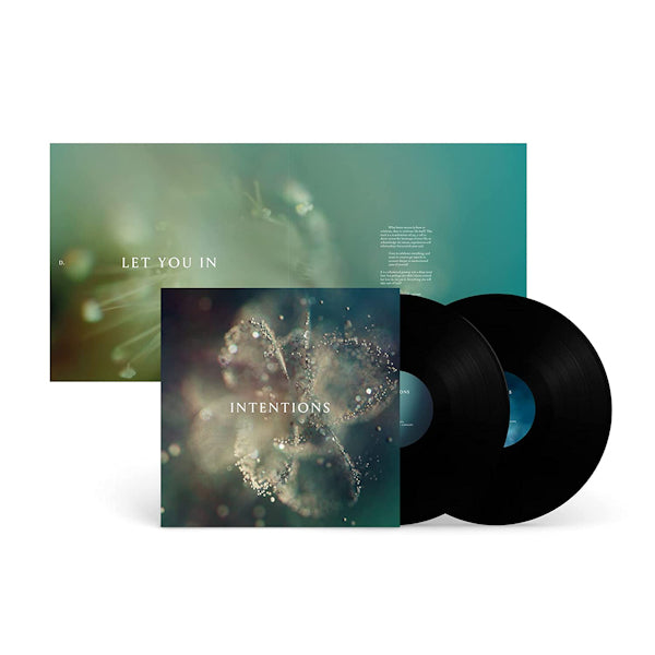 ANNA - Intentions (LP) - Velvet Music