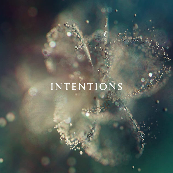 ANNA - Intentions (LP) - Velvet Music