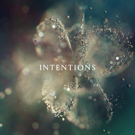 ANNA - Intentions (LP) - Velvet Music