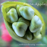 Fiona Apple - Extraordinary machine (CD) - Velvet Music