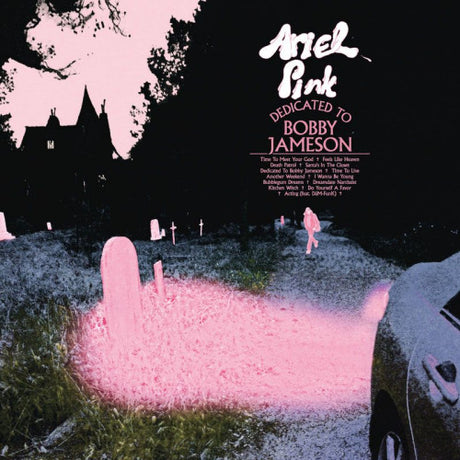 Ariel Pink - Dedicated to bobby jameson (LP) - Velvet Music