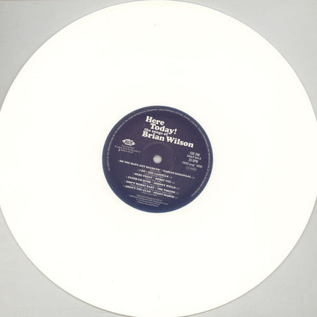 Brian Wilson - Here Today! (The Songs of Brian Wilson) (LP) - Velvet Music