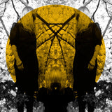 Austra - Feel it break (LP) - Velvet Music