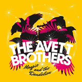 Avett Brothers - Magpie & the dandelion (LP) - Velvet Music