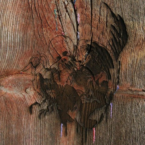 Avey Tare's Slasher Flicks - Enter the slasher house (LP) - Velvet Music