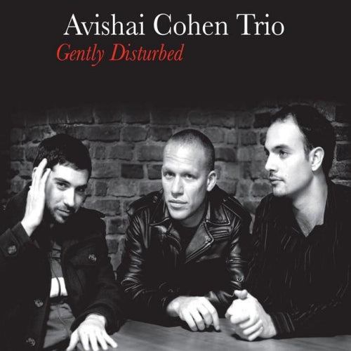 Avishai Cohen Trio - Gently disturbed (LP) - Velvet Music