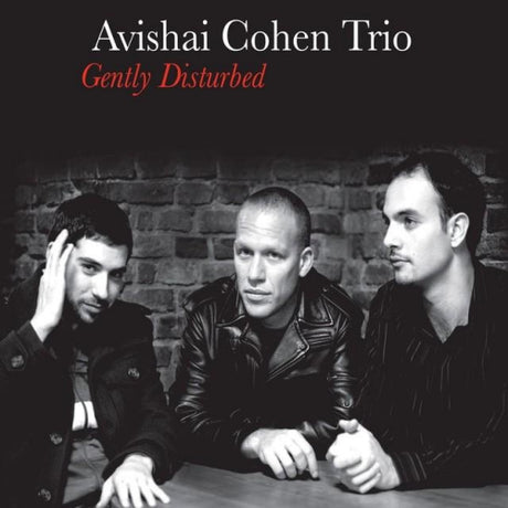 Avishai Cohen Trio - Gently disturbed (LP) - Velvet Music