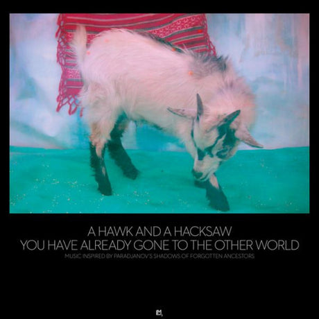 A Hawk And A Hacksaw - You have already gone to the other world (CD) - Velvet Music