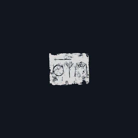 A Swarm Of The Sun - Woods (LP)