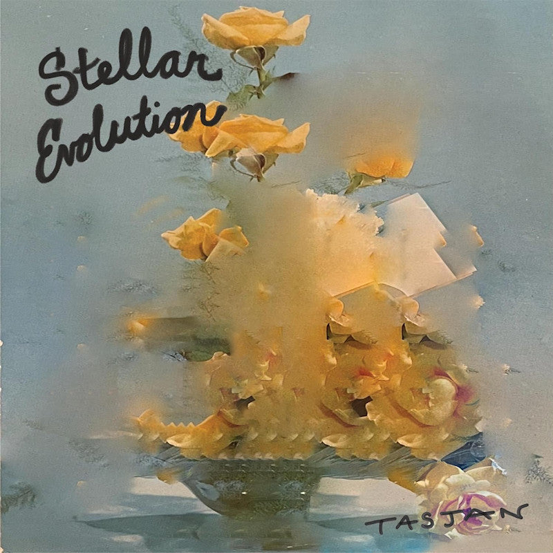 Aaron Lee Tasjan - Stellar evolution (LP) - Velvet Music