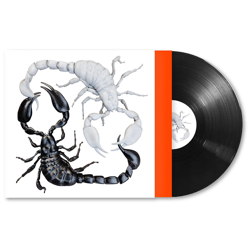 Abel & Sef - IJsland (LP) - Velvet Music