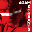 Adam Ant - The singles (LP) - Velvet Music