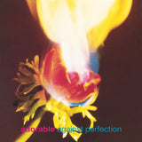 Adorable - Against perfection (LP) - Velvet Music