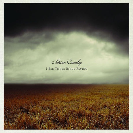 Adrian Crowley - I see three birds flying (CD) - Velvet Music